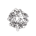 Coil Less Pins - Black (50 pcs) - Amirah.pk
